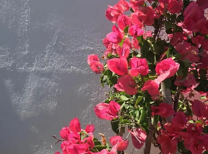 Yakinthos 4* פנורמוס מיקונוס