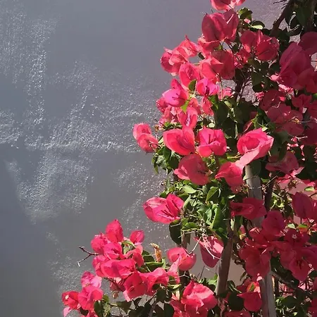 Yakinthos 4* Panormos (Mykonos)